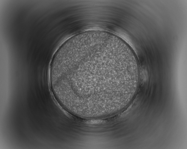 X0000092271290200710121333