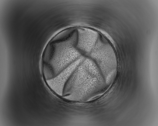 X0000092271295200710121333