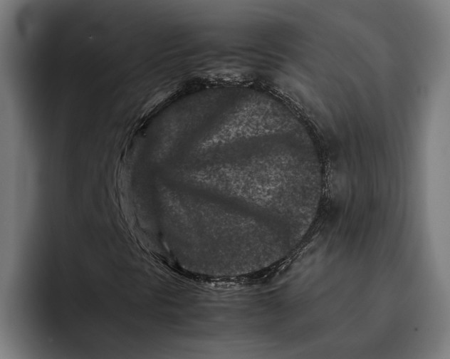X0000092271297200710121333