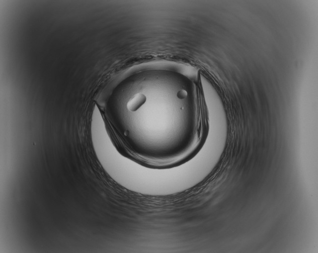 X0000092271298200710121333