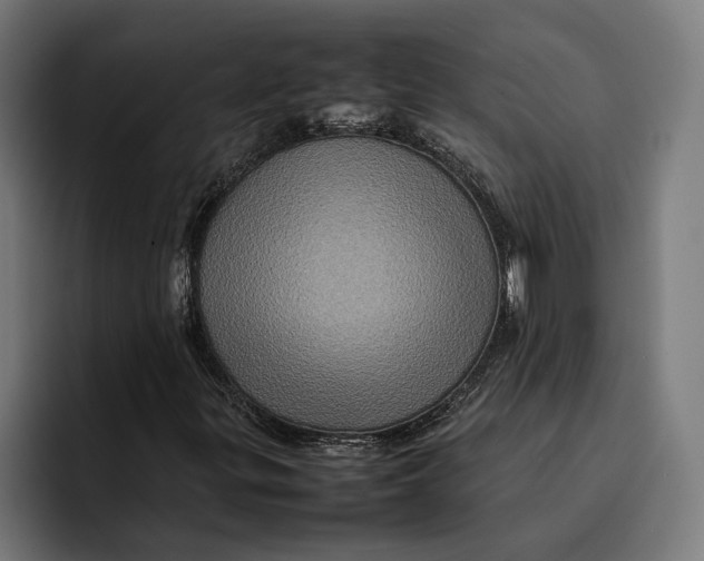 X0000092271299200710121333