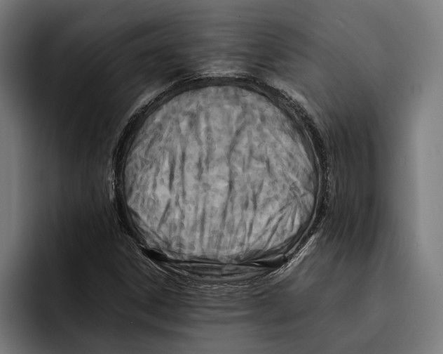 X0000092271306200710121333