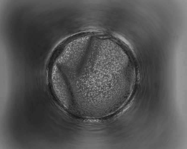 X0000092271310200710121333