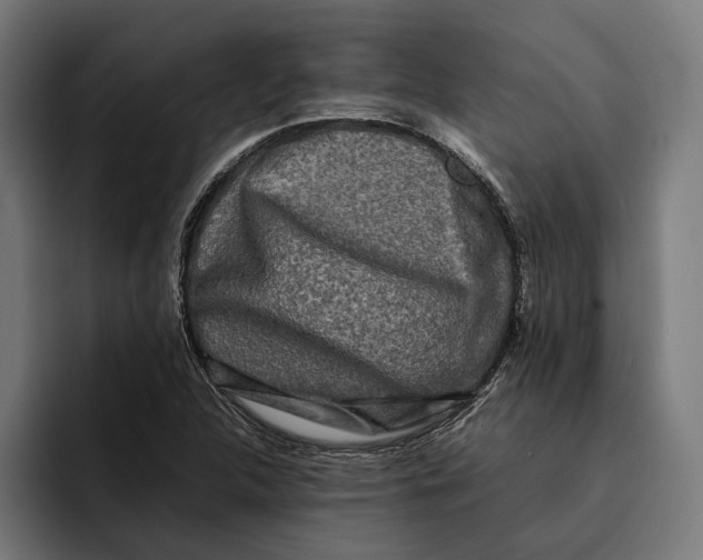 X0000092271312200710121333
