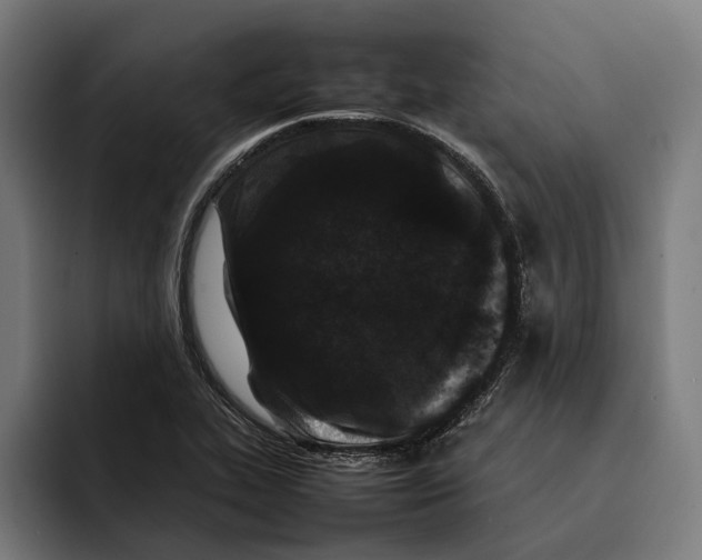 X0000092271319200710121333