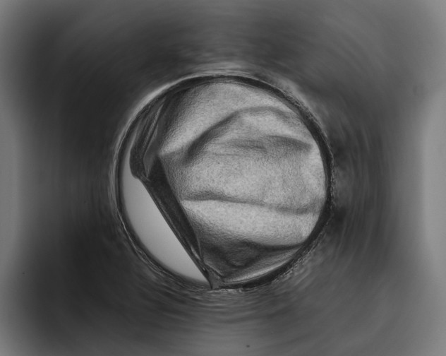 X0000092271320200710121333