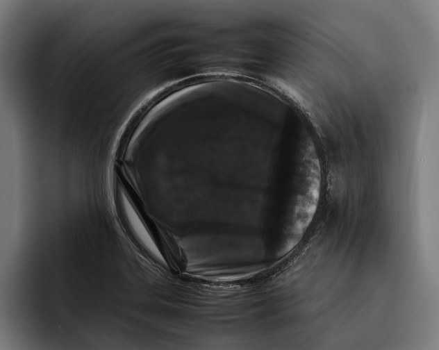 X0000092271323200710121333