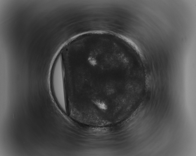 X0000092271327200710121333