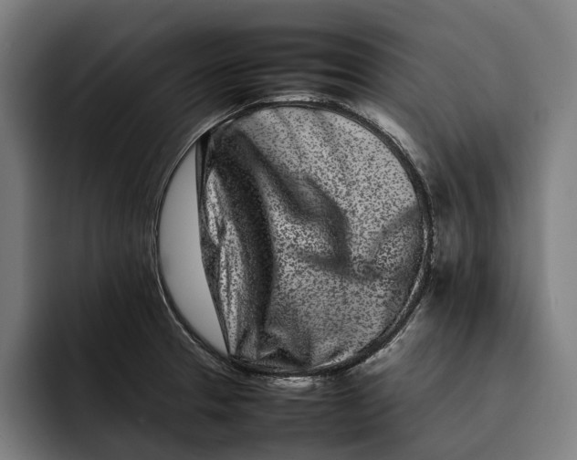 X0000092271329200710121333