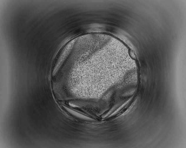 X0000092271337200710121333