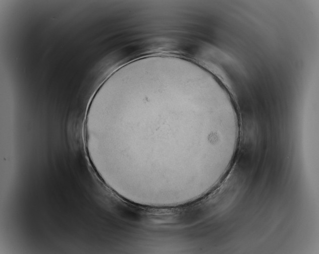 X0000092271338200710121333