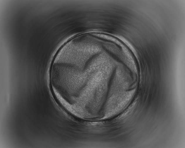 X0000092271341200710121333