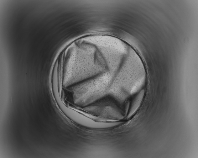 X0000092271344200710121333