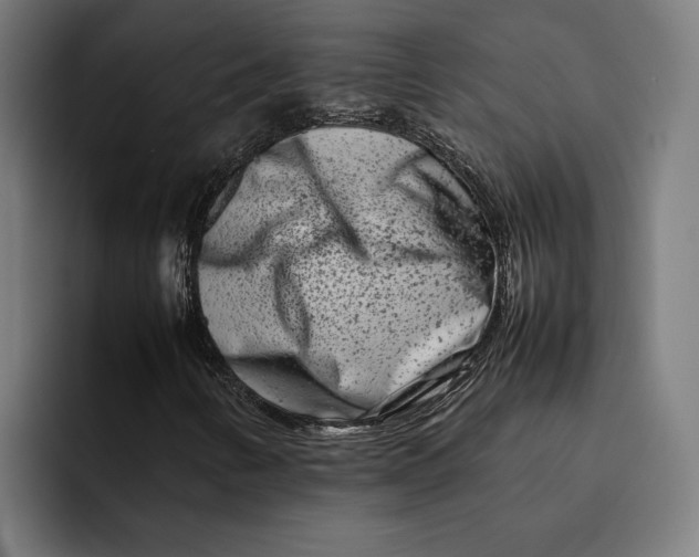 X0000092271346200710121333