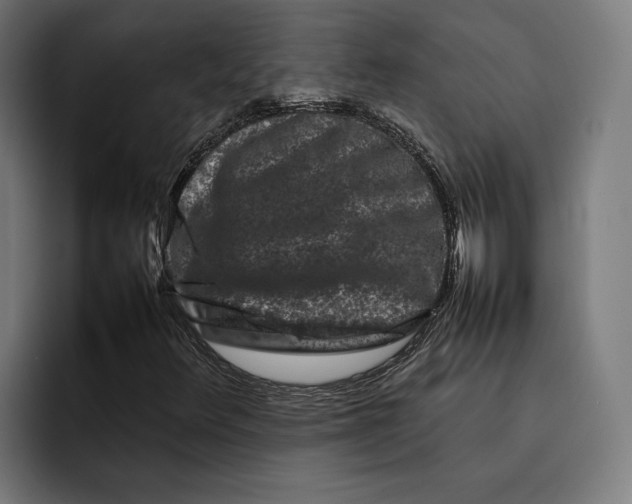 X0000092271348200710121333