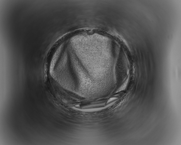 X0000092271352200710121333