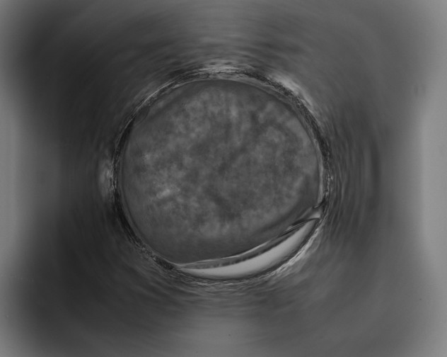 X0000092271353200710121333