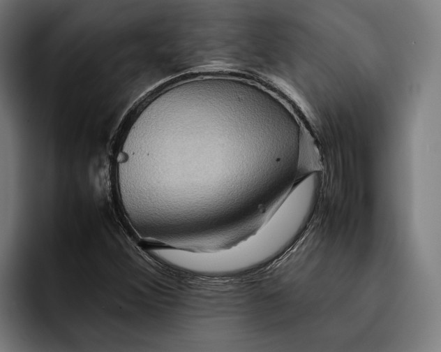 X0000092271356200710121333