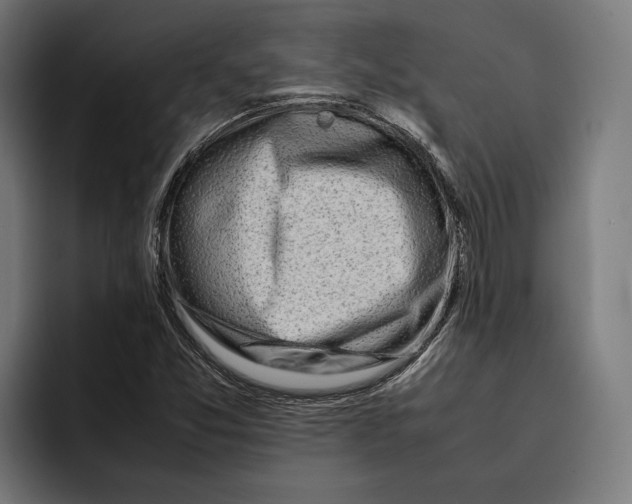 X0000092271357200710121332