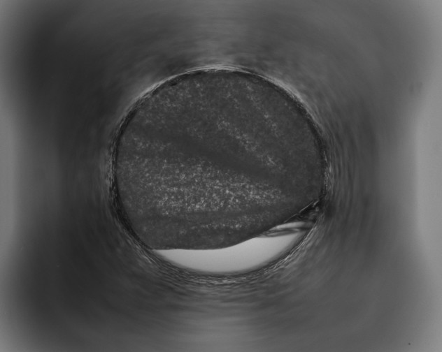 X0000092271359200710121332