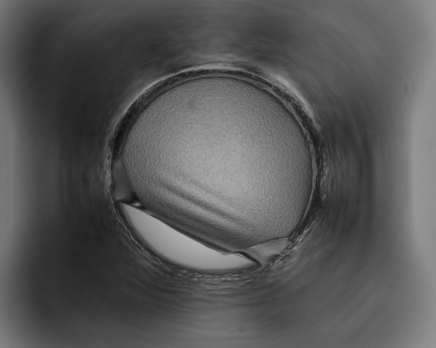 X0000092271360200710121332