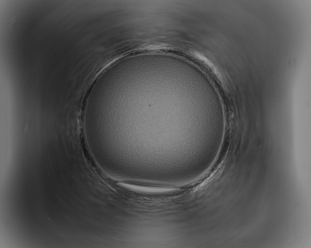 X0000092271361200710121332