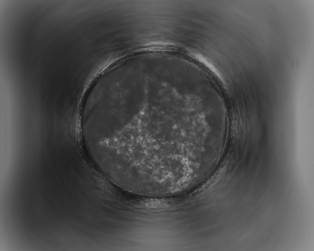 X0000092271362200710121332