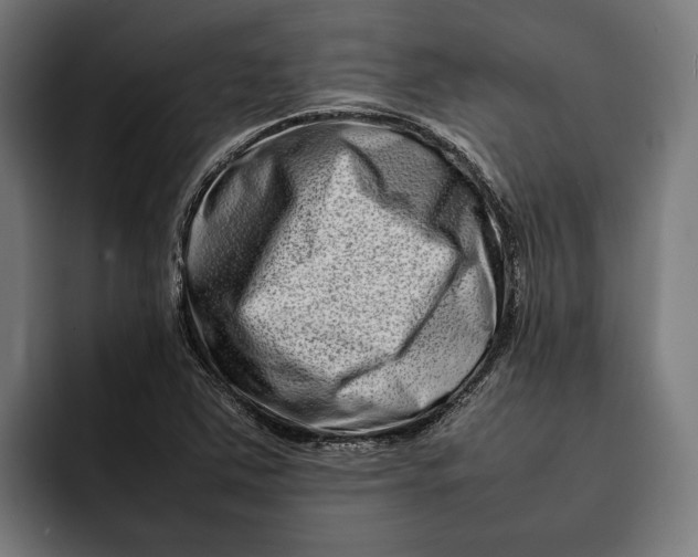 X0000092271363200710121332