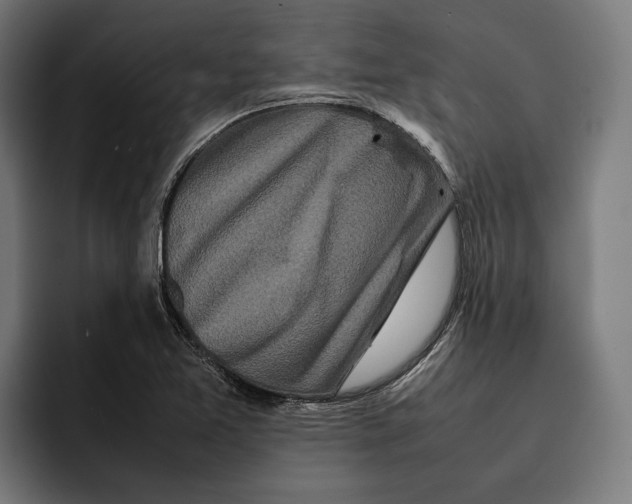 X0000092271365200710121332