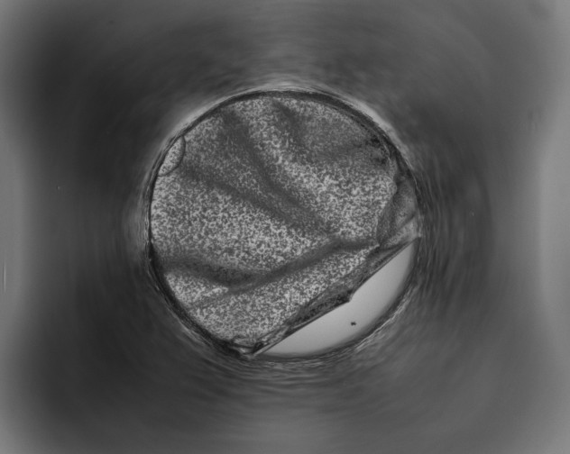 X0000092271367200710121332