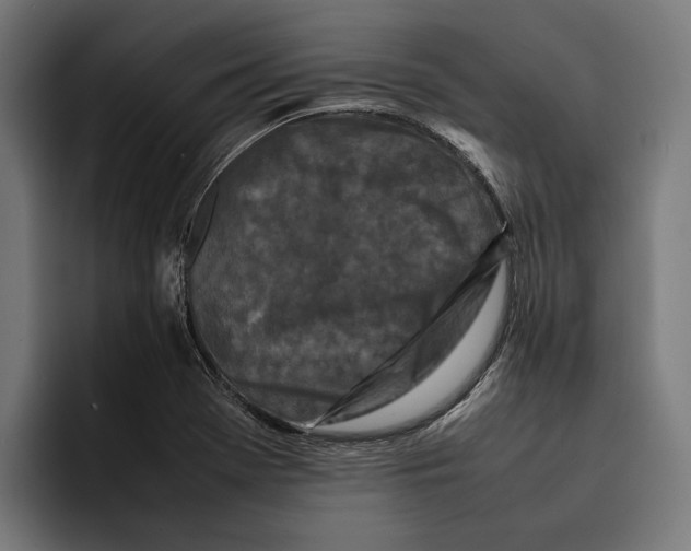 X0000092271369200710121332