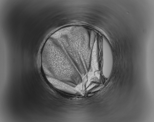 X0000092271371200710121332