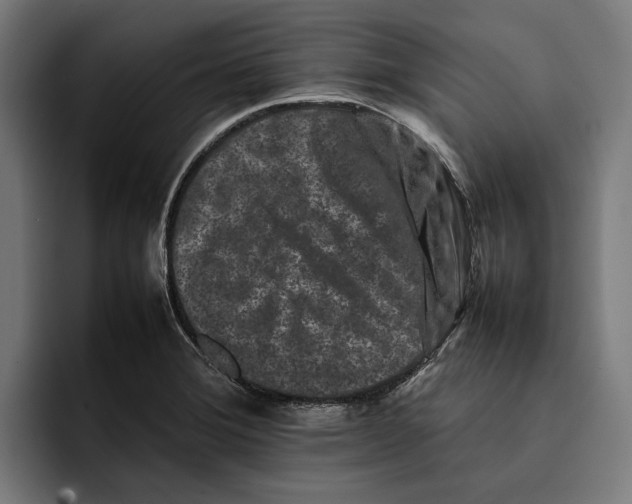 X0000092271372200710121332