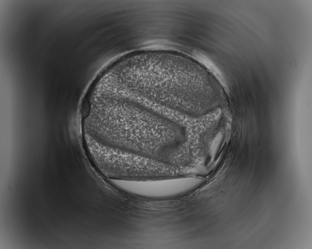 X0000092271376200710121332