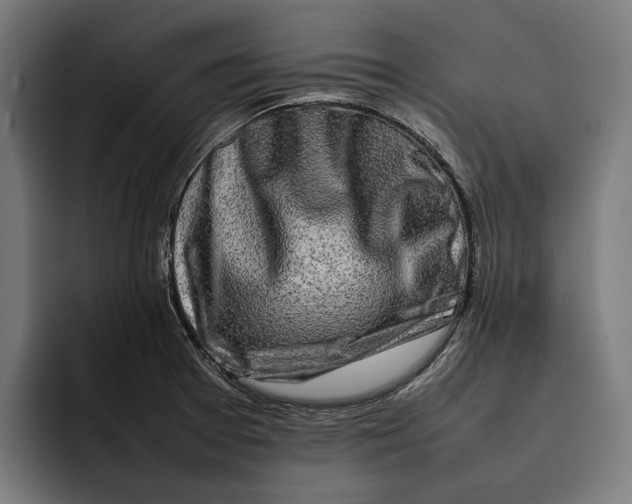 X0000092271377200710121332