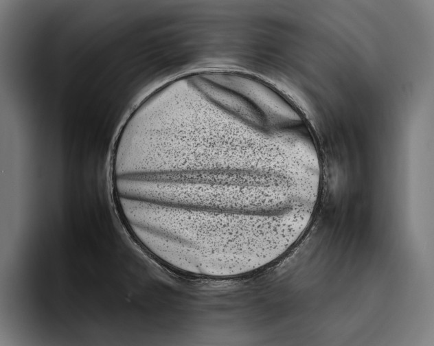 X0000092271382200710121332