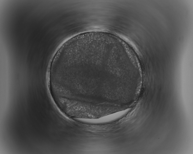 X0000092271383200710121332