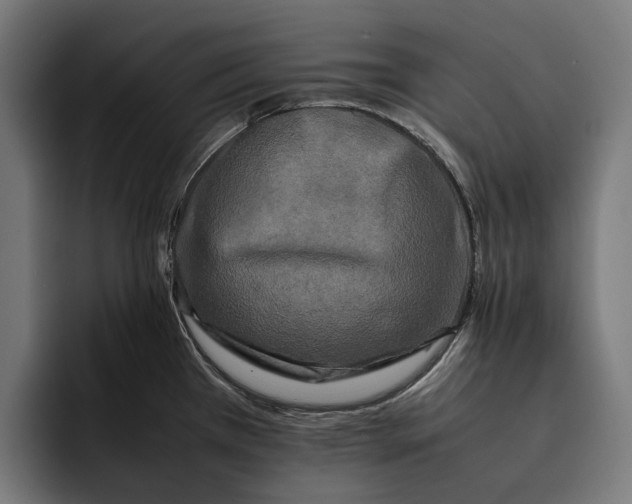 X0000092271385200710121332