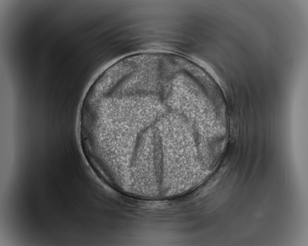 X0000092271387200710121332
