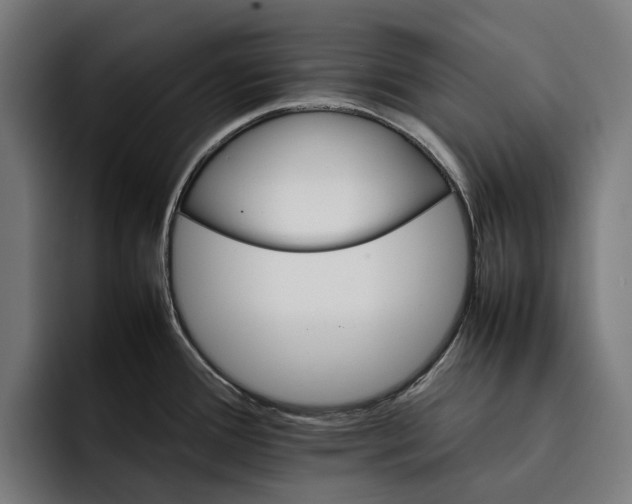 X0000092271388200710121332
