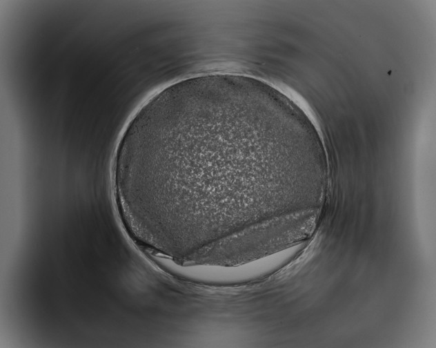 X0000092271389200710121332