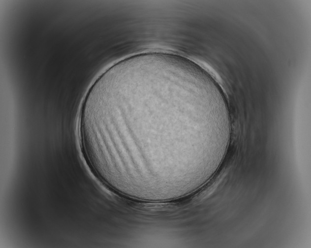 X0000092271391200710121332