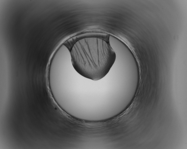 X0000092271392200710121332