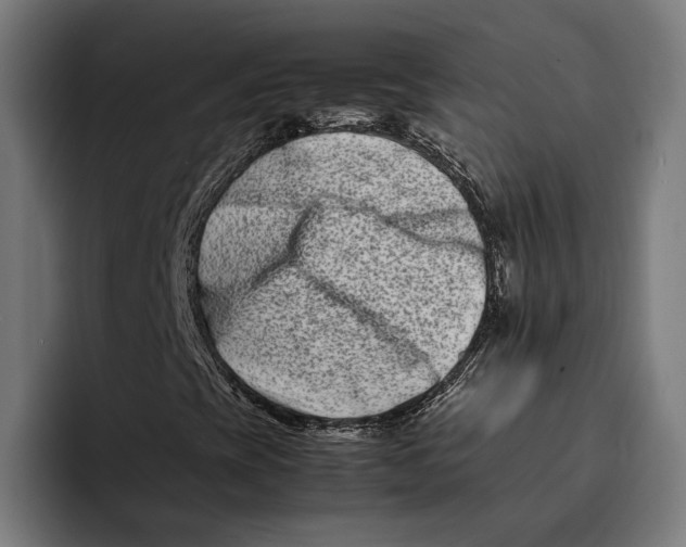 X0000092271393200710121332
