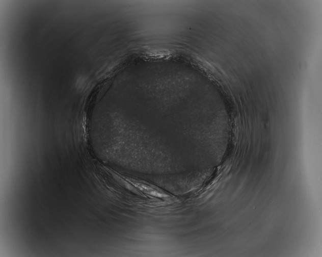 X0000092271394200710121332
