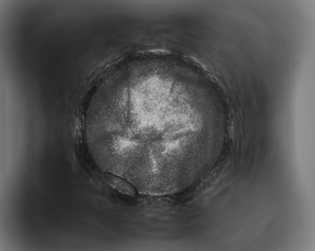 X0000092271397200710121332