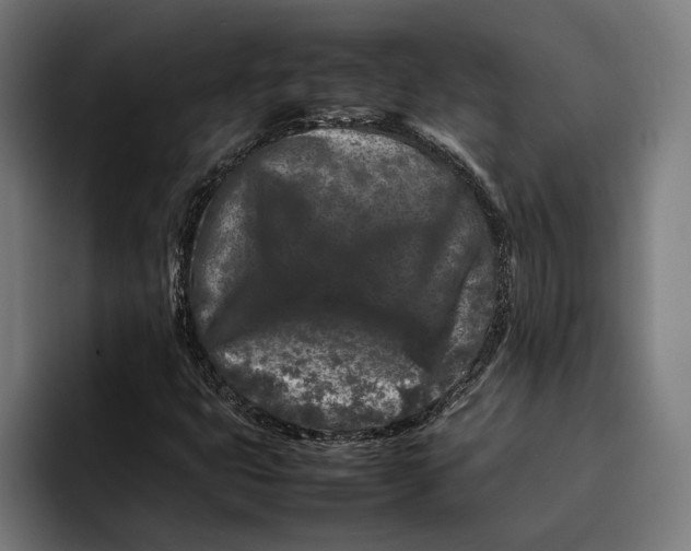 X0000092271399200710121332
