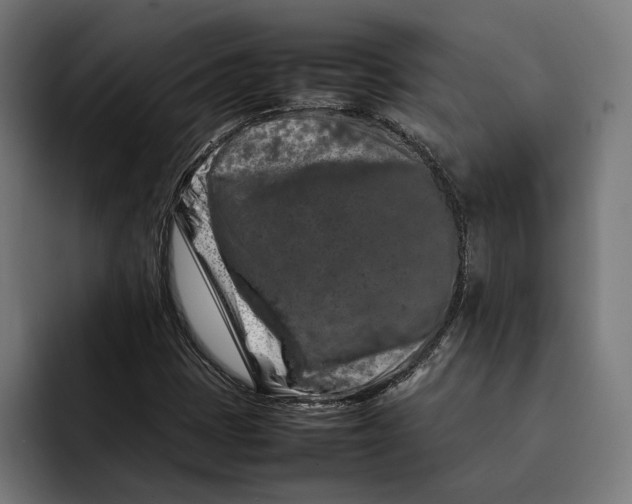 X0000092271401200710121332