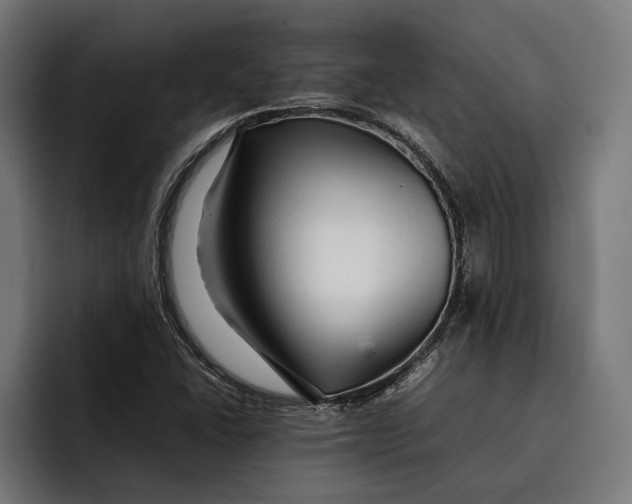 X0000092271406200710121332