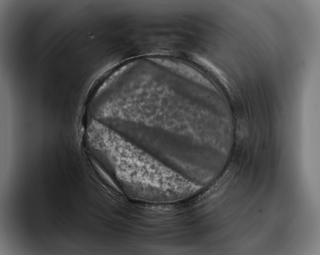 X0000092271411200710121332